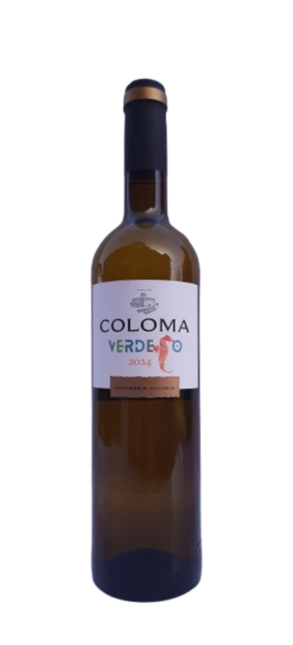COLOMA VERDEJO 2024